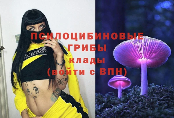 соль ск Володарск