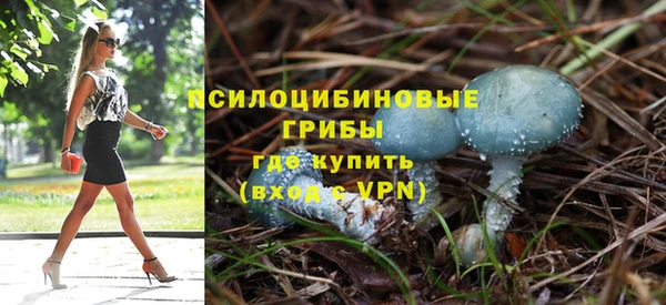 соль ск Володарск